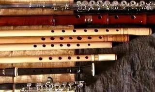 管子乐器 木管乐器有哪些
